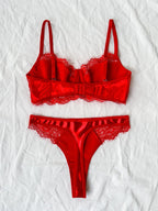 womens-underwear-fancy-lace-strapping-lingerie-brief-underwear-3667449 - Easydrop
